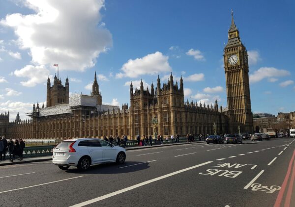 pexels-oltion-bregu-80627-338454