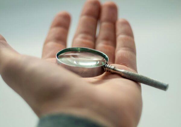 pexels-clement-nivesse-1601383-3074542