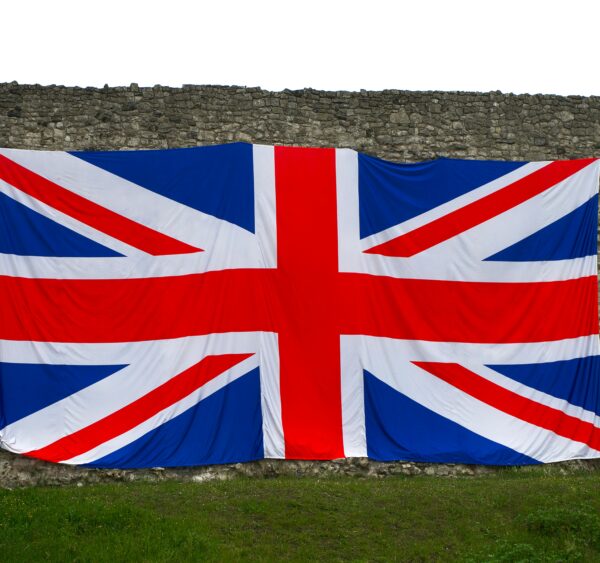 SEO Professional Training in London: Skills UK Employers Want