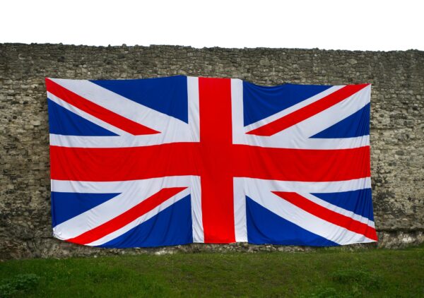 pexels-mikebirdy-12592538