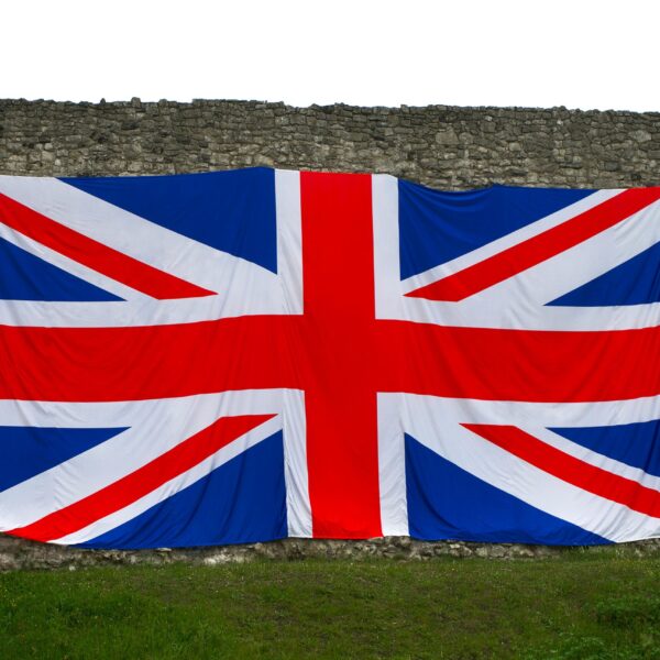 pexels-mikebirdy-12592538 pexels-mikebirdy-12592538